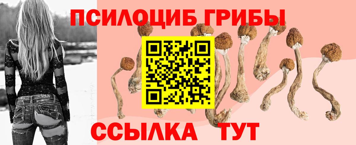 Псилоцибиновые грибы мицелий  Галлюциногенные грибы Cubensis  Иркутск 